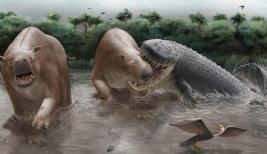 « Il y avait tellement de proies disponibles » : ce crocodilien géant dominait ce monde perdu il y a 10 millions d’années
