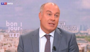 Canicules : "La bonne nouvelle, c'est que nous pouvons limiter ce changement climatique", assure François Gemenne sur TF1