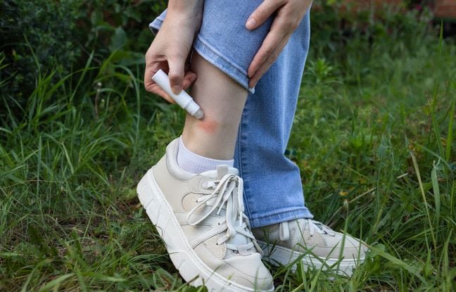 Pourquoi les moustiques piquent-ils toujours les mêmes personnes ?