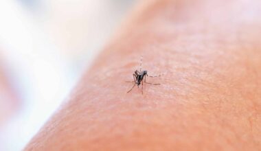 On pensait que se gratter soulageait une piqûre : le geste transforme cinq minutes de démangeaison en une semaine d'inflammation