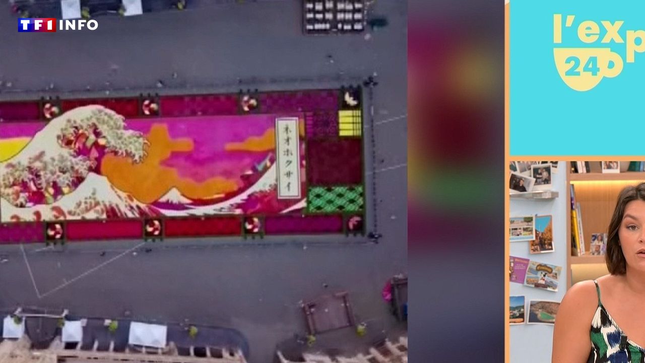 "500.000 dahlias représentent le tableau" : à Bruxelles, une fresque florale éphémère de 1.600 mètres carrés a habillé la Grand-Place
