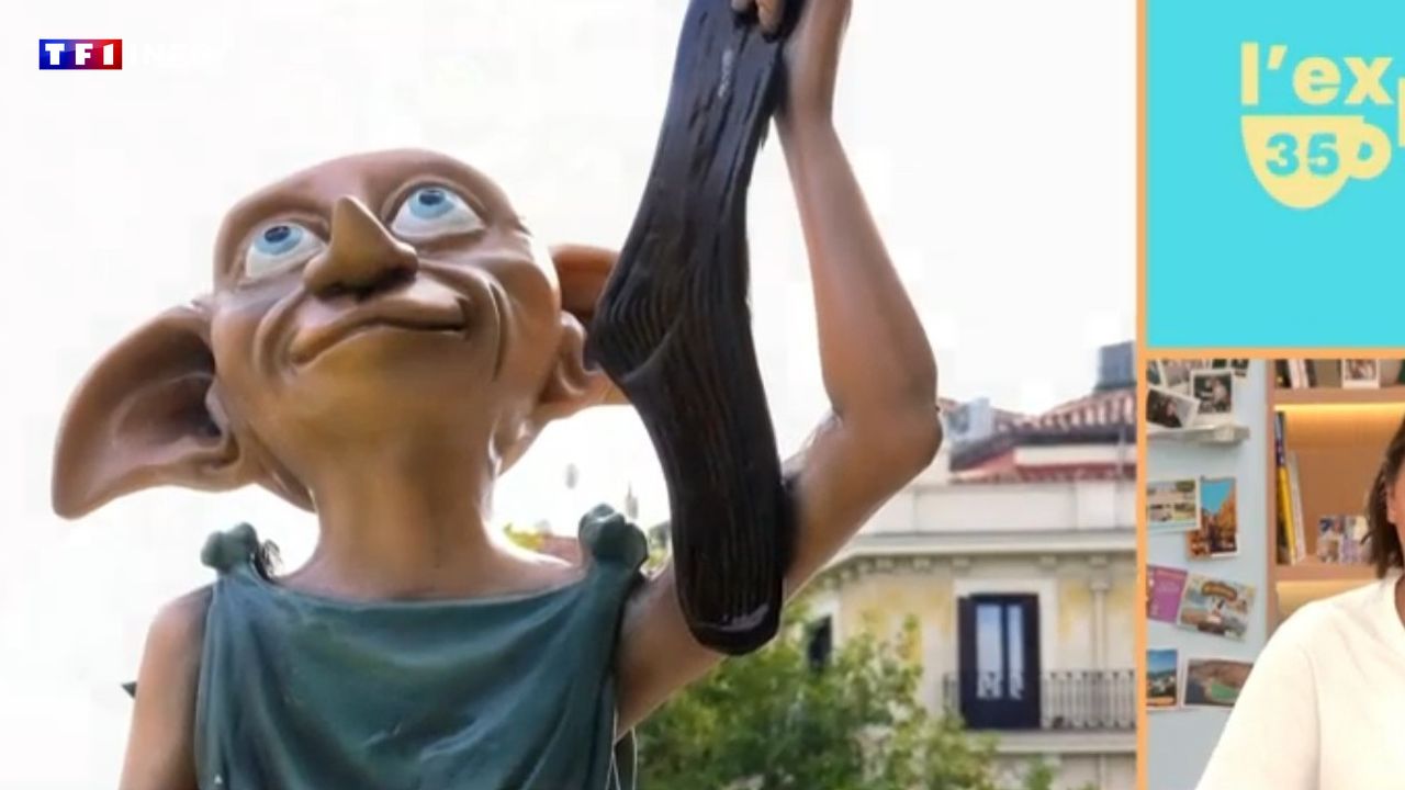 "C'est précisément ici que se trouve la tombe de Dobby" : les fans d'Harry Potter font dévier un projet de liaison électrique à 500 millions d'euros