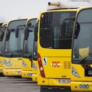 Bus de la compagnie TEC.