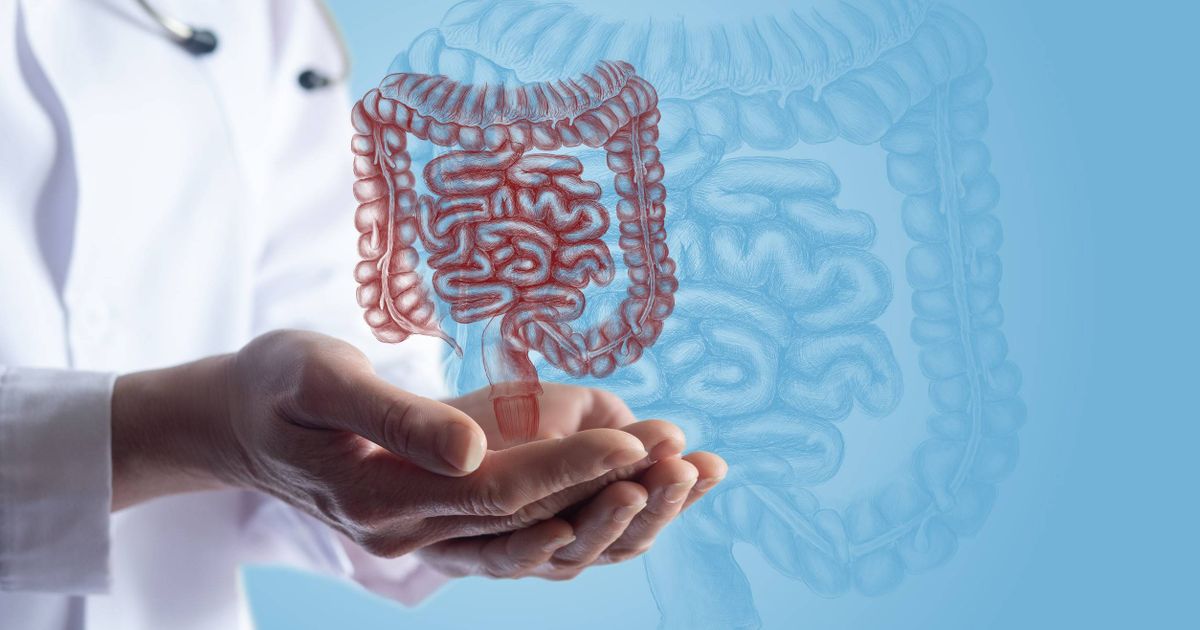 Welingelichte Kringen - Nieuws van overal: minder lezen, meer weten