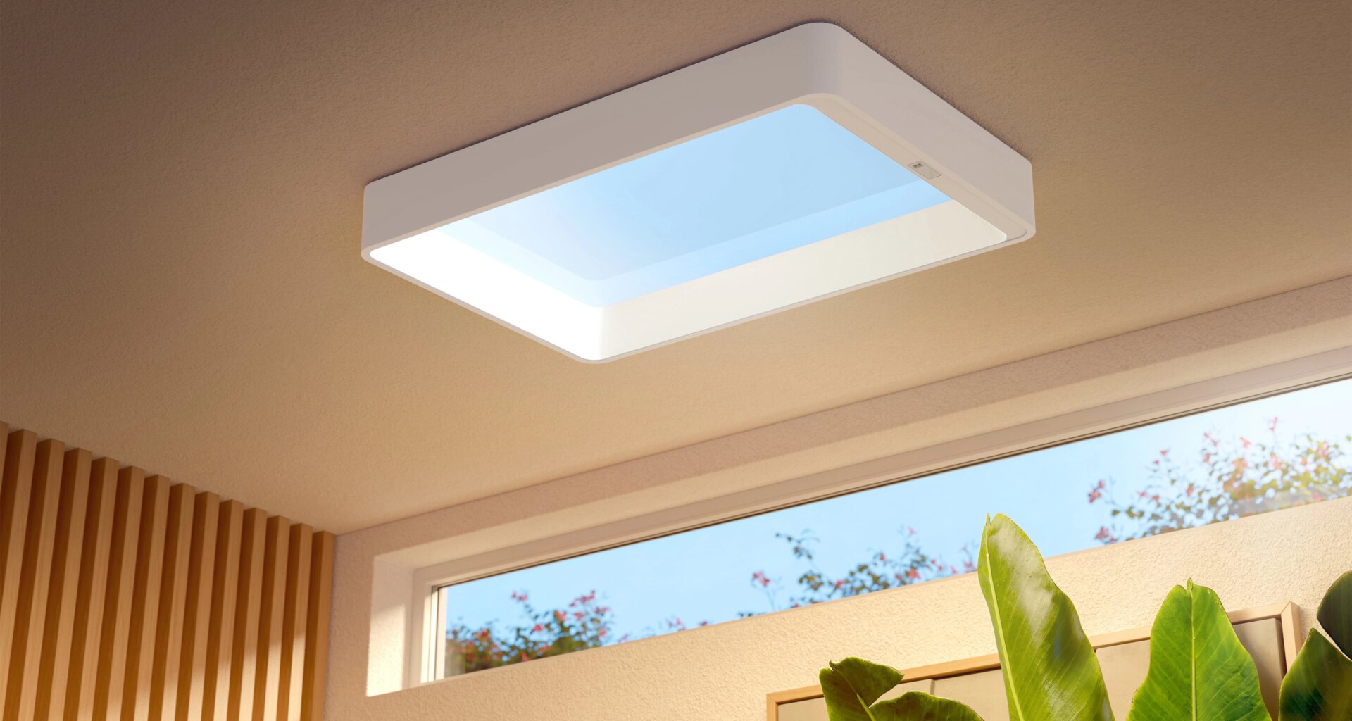 Philips Skylight en veel Hue nieuws: Signify pakt uit