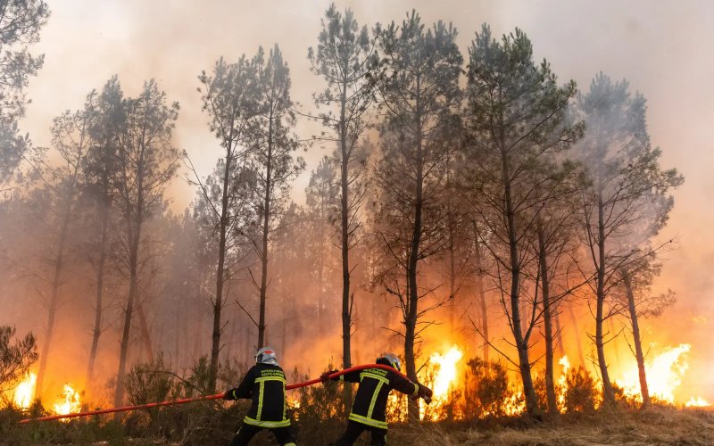 Wildfire burns about 1,600 hectares in Belgium