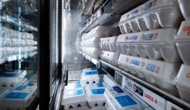 Belgium hit by large Salmonella outbreak with 300 left ill after eating contaminated eggs