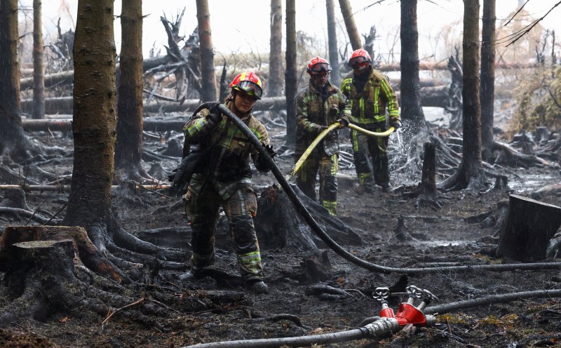Belgium to launch resilience plan after devastating wildfire