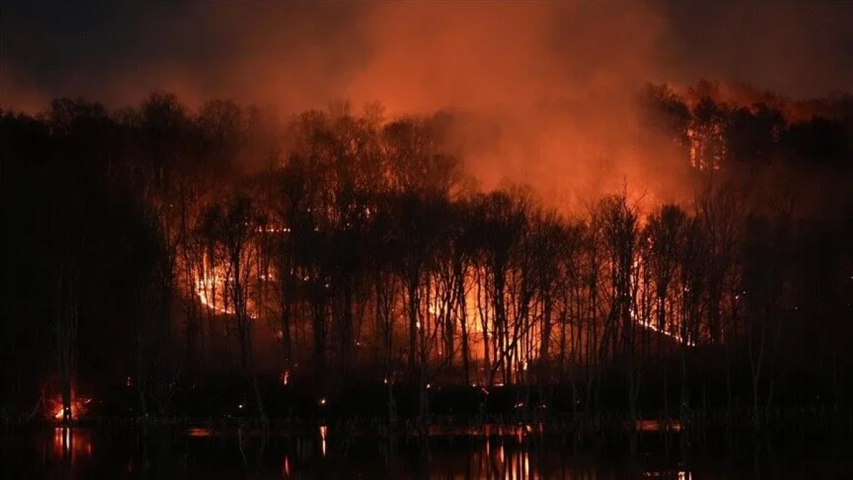 Massive wildfire burns 30 square kilometers in Belgium, forces 600 to evacuate