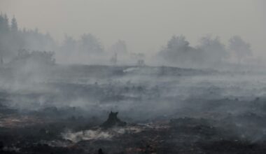 Rain brings respite as Belgium wrestles massive wildfire