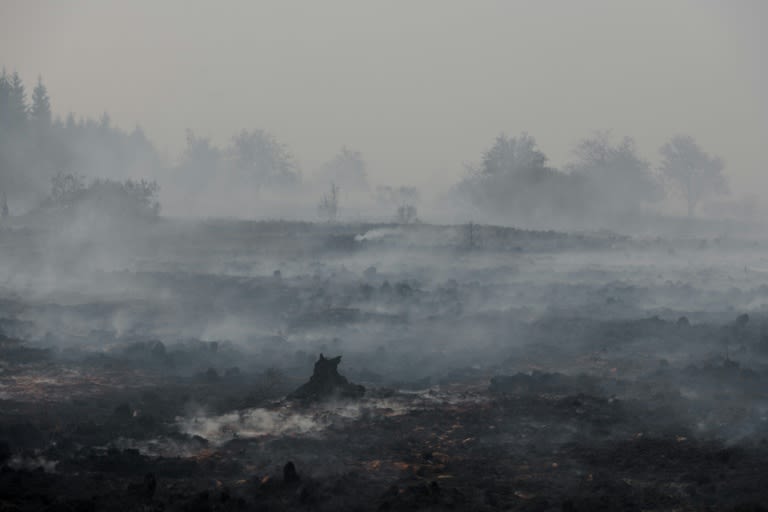 Rain brings respite as Belgium wrestles massive wildfire
