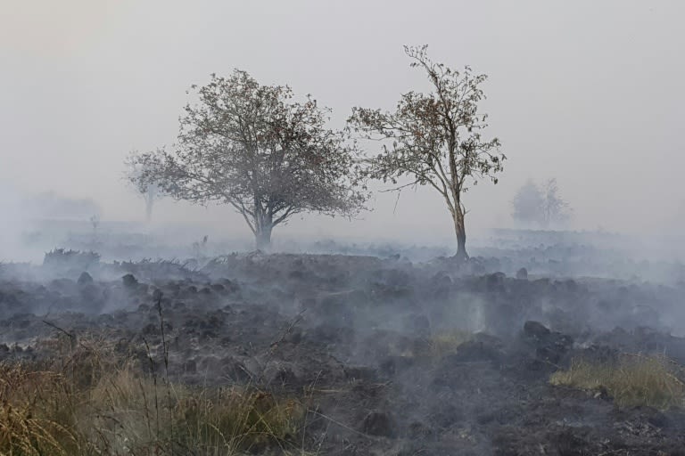 Belgium races to tame huge wildfire creeping towards Germany