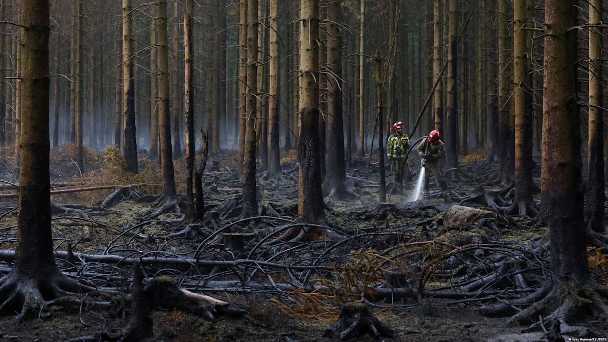 Belgium wildfire: Rains help High Fens containment efforts