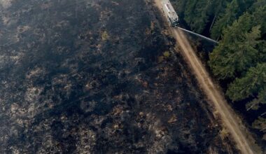 Rainfall offers new hope in fight against Belgium's biggest wildfire