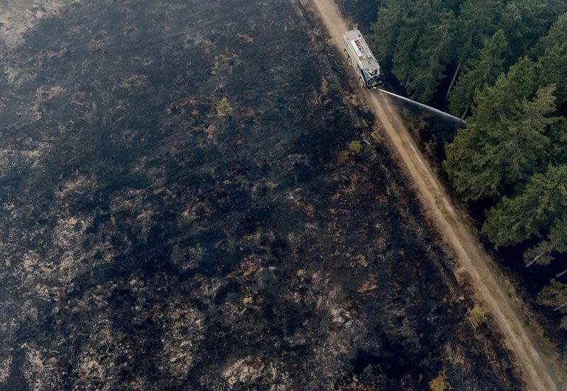 Rainfall offers new hope in fight against Belgium's biggest wildfire
