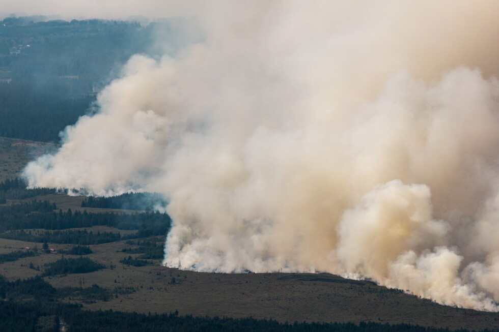Firefighters battle massive wildfire in Belgium's High Fens
