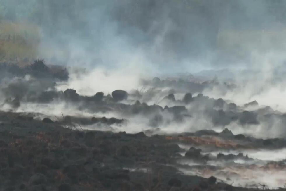 Regional police director says various services working to battle Belgium wildfire
