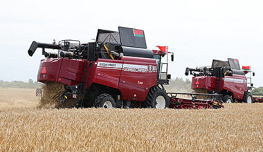 Lukashenko hears report from agriculture and food minister
