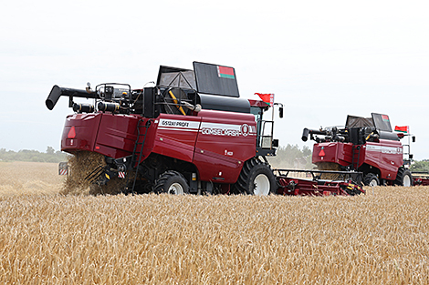 Lukashenko hears report from agriculture and food minister