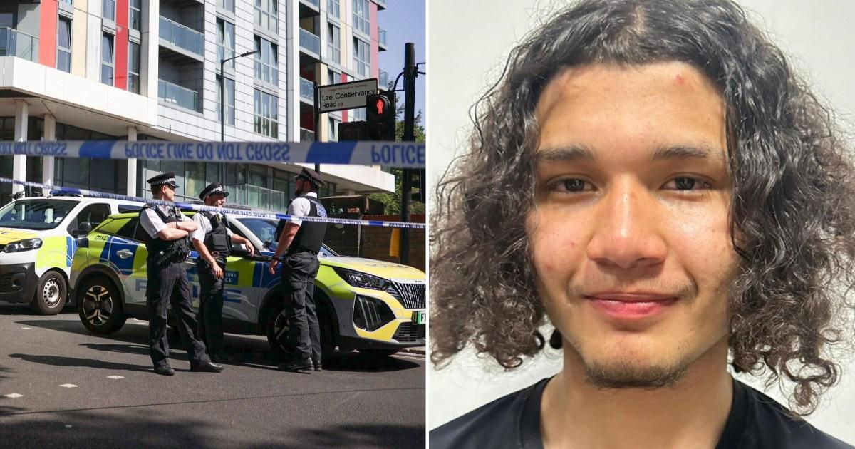 First picture of boy, 15, stabbed to death after 'large crowd spotted with machetes' in London | News UK
