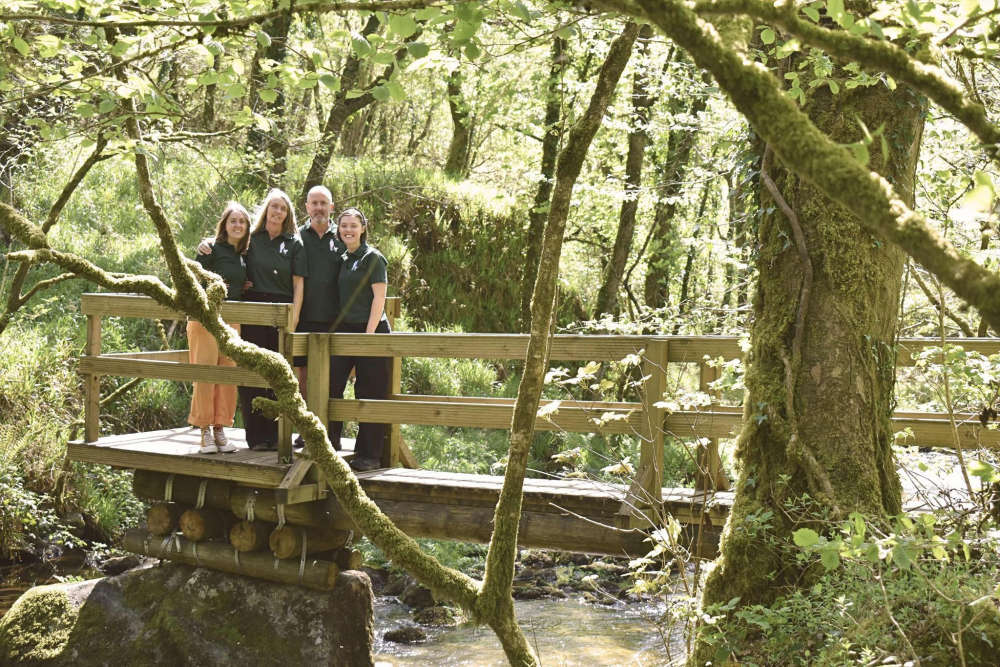 Cornish Gems partners with The Thousand Year Trust to help restore Britain's temperate rainforests