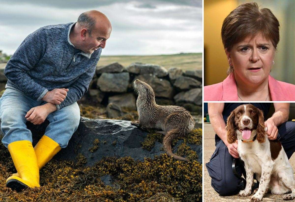 Britain’s Busiest Port and An Otter Love Story: Six must-see documentaries on TV from Sunday, June 21