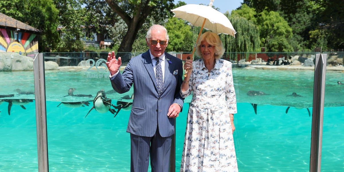 King Charles Visits London Zoo During Heatwave