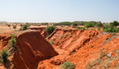 Rio Tinto maintained production guidance