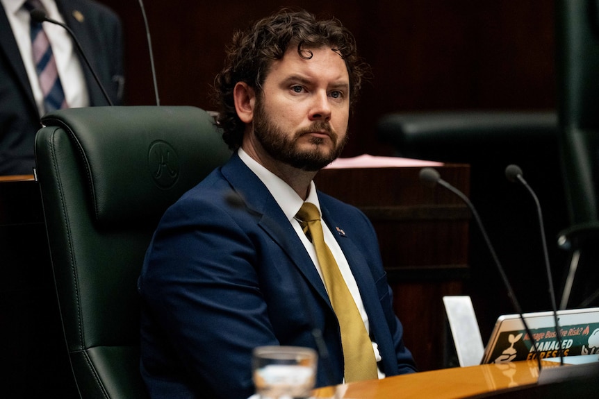 A man dressed formally sits in a green chair in parliament