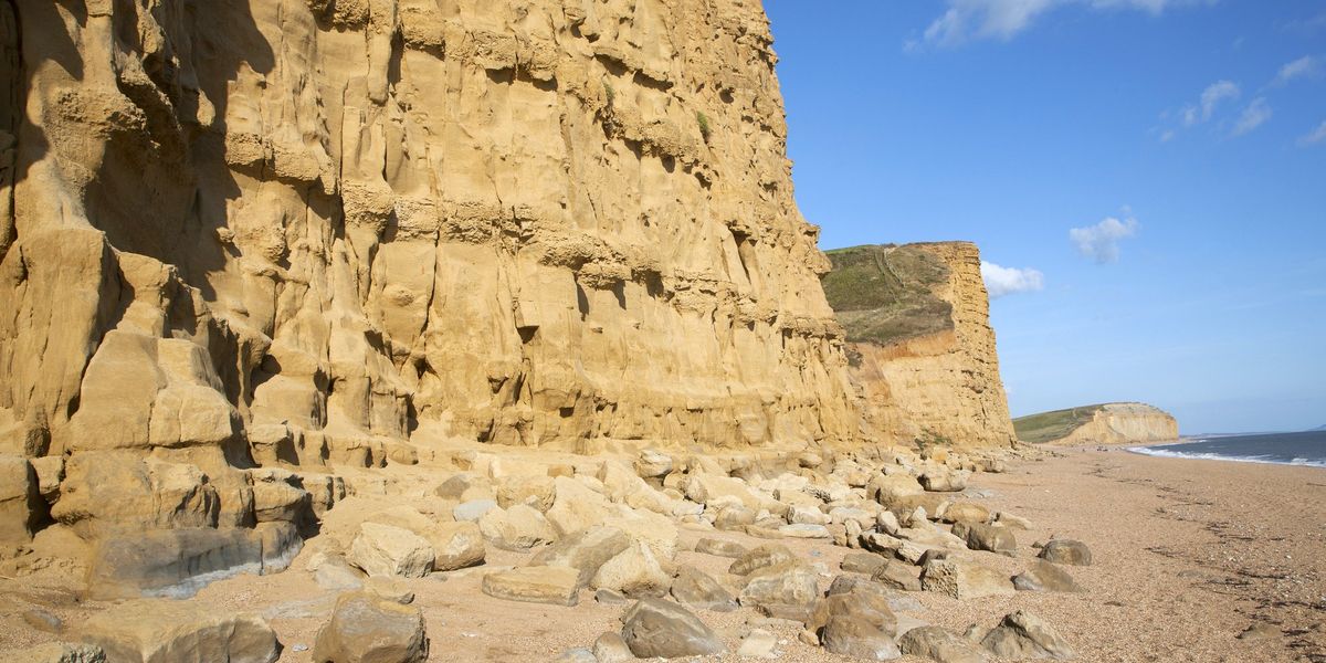Archaeology breakthrough: Treasure trove of British natural history sold to Middle East in 'loss to the nation'