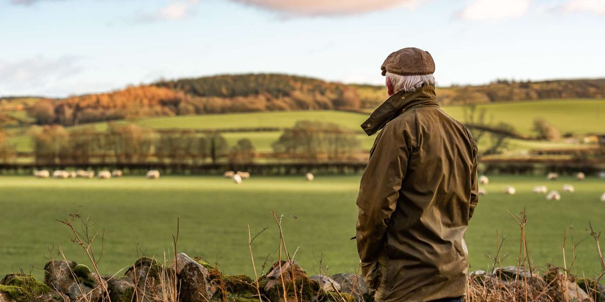 Britain puts £65m behind farmers as drought starts threatening the country’s food supply