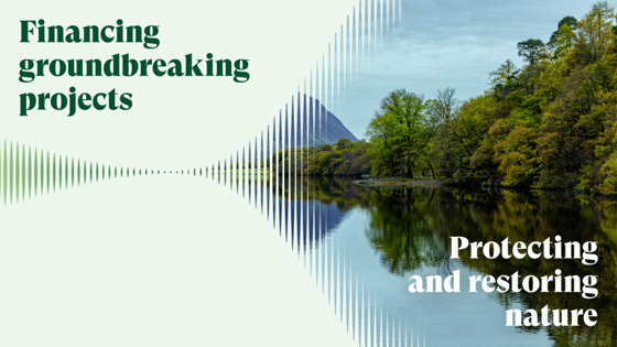 Climate Solutions Partnership | HSBC Holdings plc