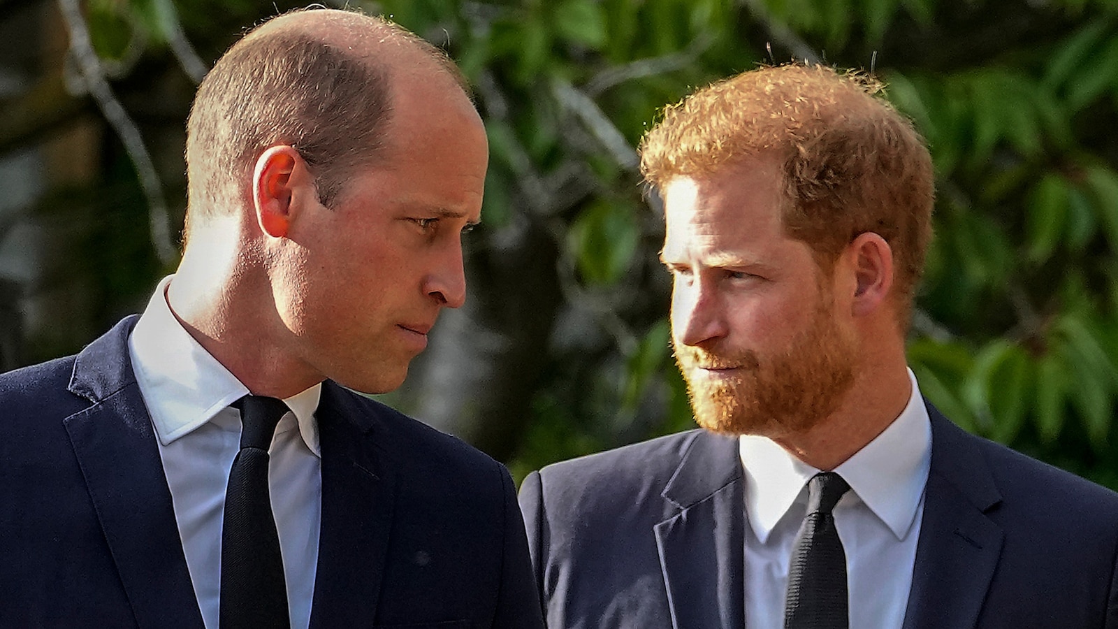 A question looms over Harry's return to the UK. Can he rebuild his relationship with Prince William?