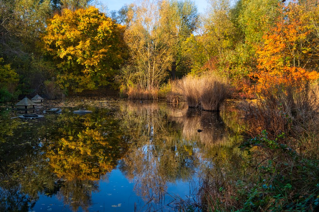 Rebecca Smith: Britain needs water abundance