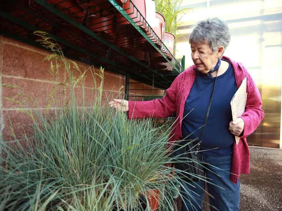 Kath Smyth, from the Calgary Horticultural Society, and a well-known avid gardener, shows some water-wise (drought resistant) plants and flowers available at Greengate Garden Centre in southeast Calgary on Thursday, April 30, 2026.