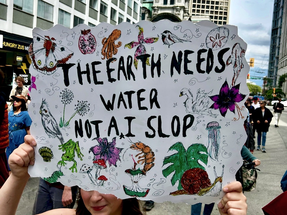 A sign at a protest says &lsquo;The earth needs water, not AI slop.&rsquo;