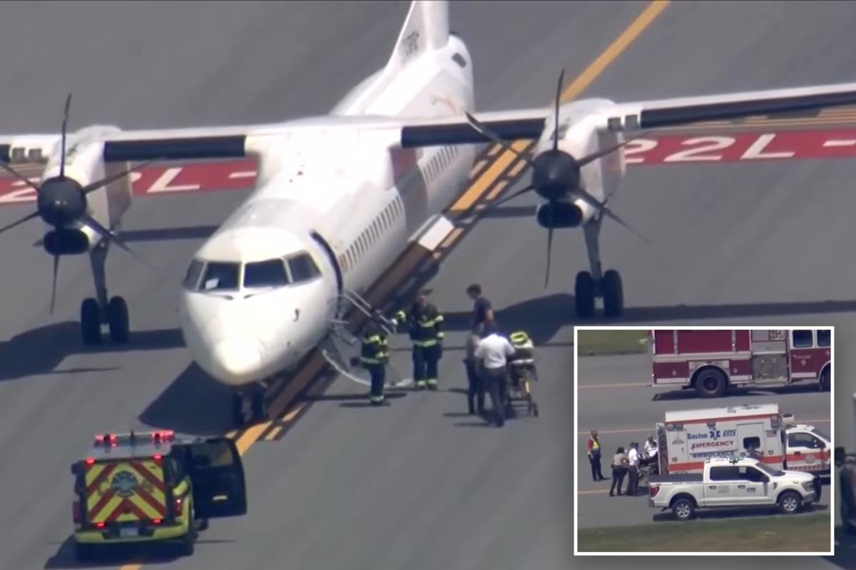 Air Canada passengers instantly started praying as plane swerved repeatedly after pilot's apparent seizure