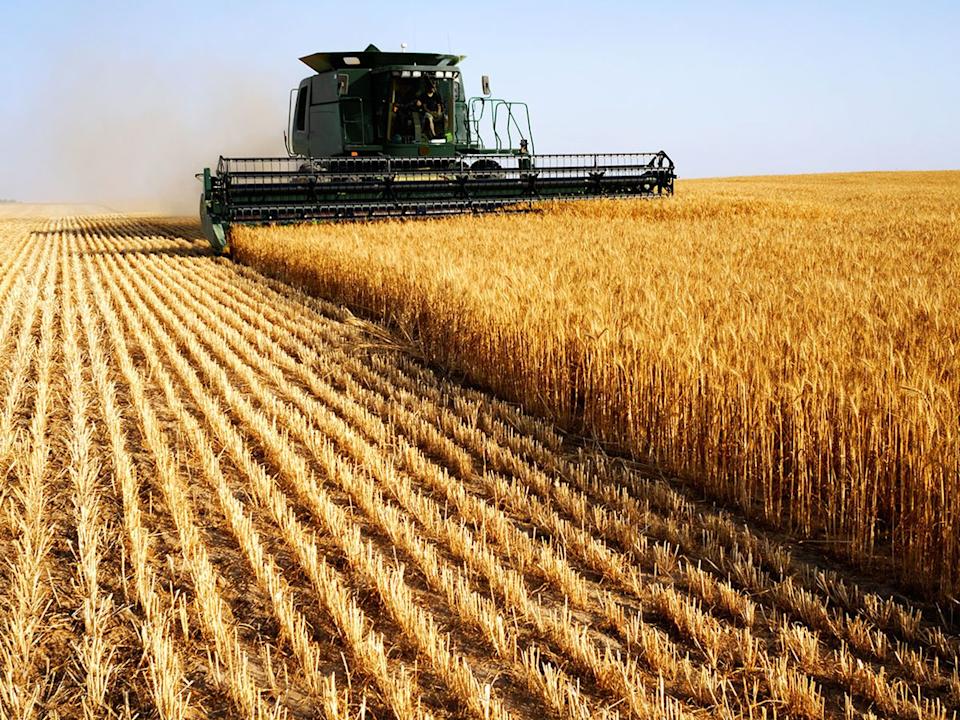 farming-0603-ph