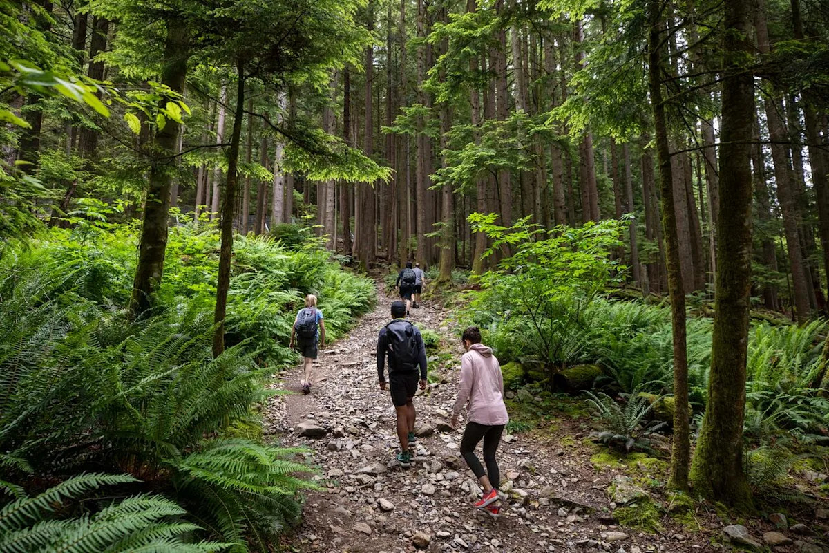 Metro Vancouver outside workers at regional parks walk off the job indefinitely