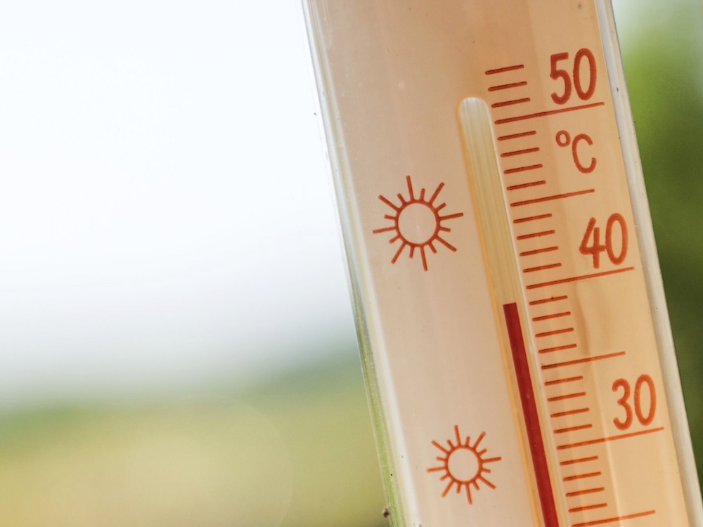 A thermometer reads a little over 39 degrees Celsius.