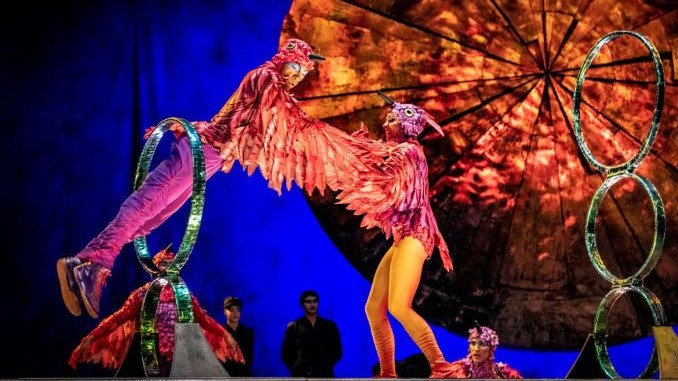 Fun Things to See and Do This Summer in Toronto with Kids