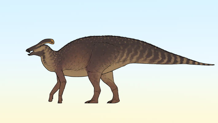 New Crested Dinosaur Species Identified in Canada