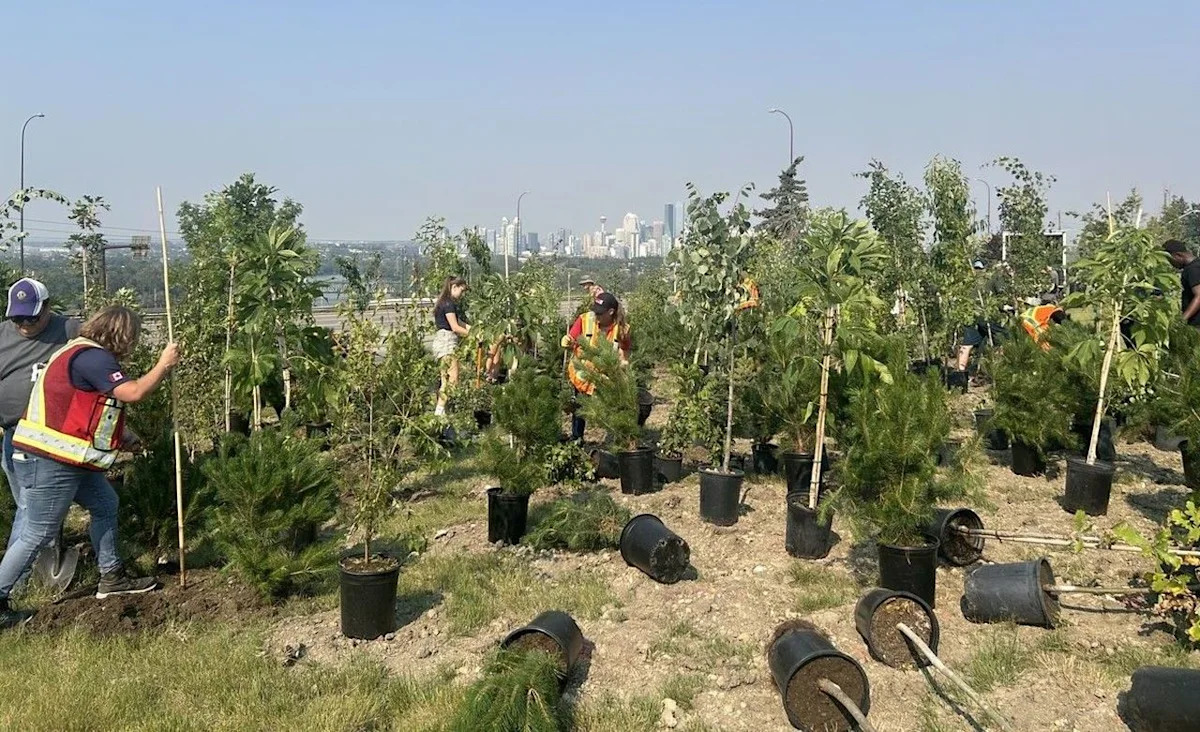 Lions Club youth exchange students help grow Calgary's urban forest