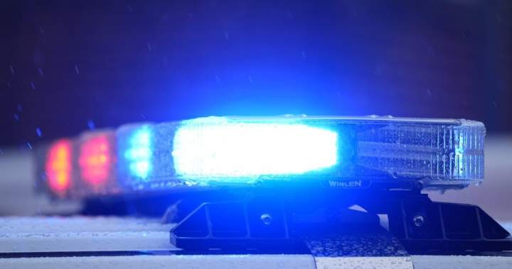 2 Jewish-owned Toronto bakeries vandalized, shots fired at 1 - Toronto