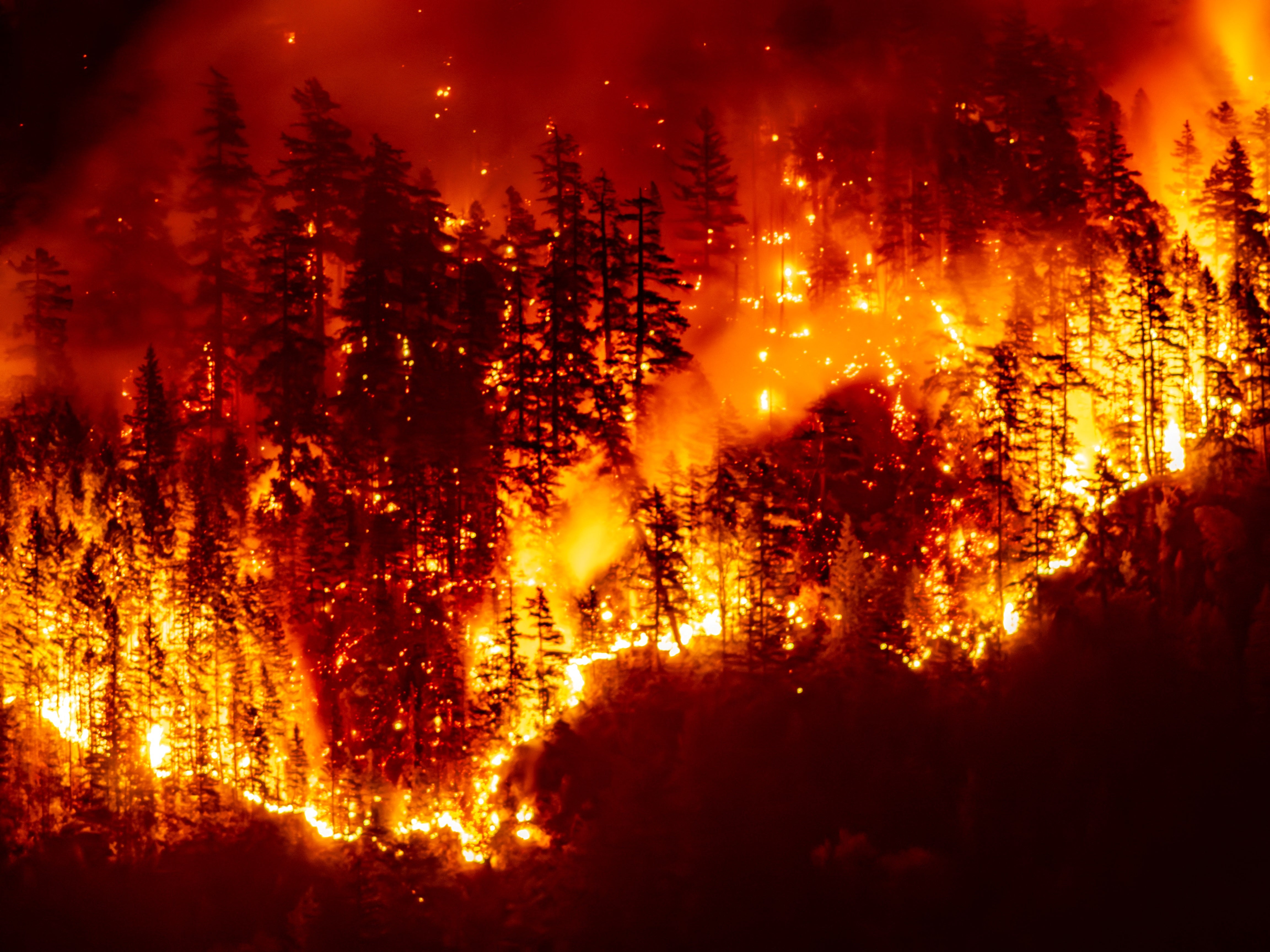 Approximately 96,000 acres of forest have been burned so far, with the flames not yet brought under control