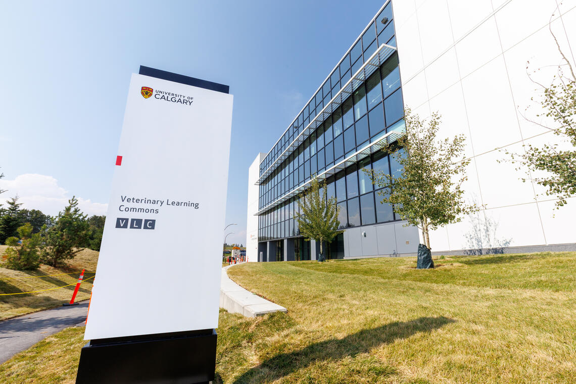 University of Calgary expands Johne's disease testing with new in-house PCR service