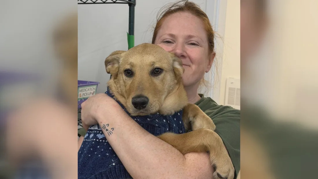Animal advocacy groups to honour rescue volunteer who died with Winnipeg rally