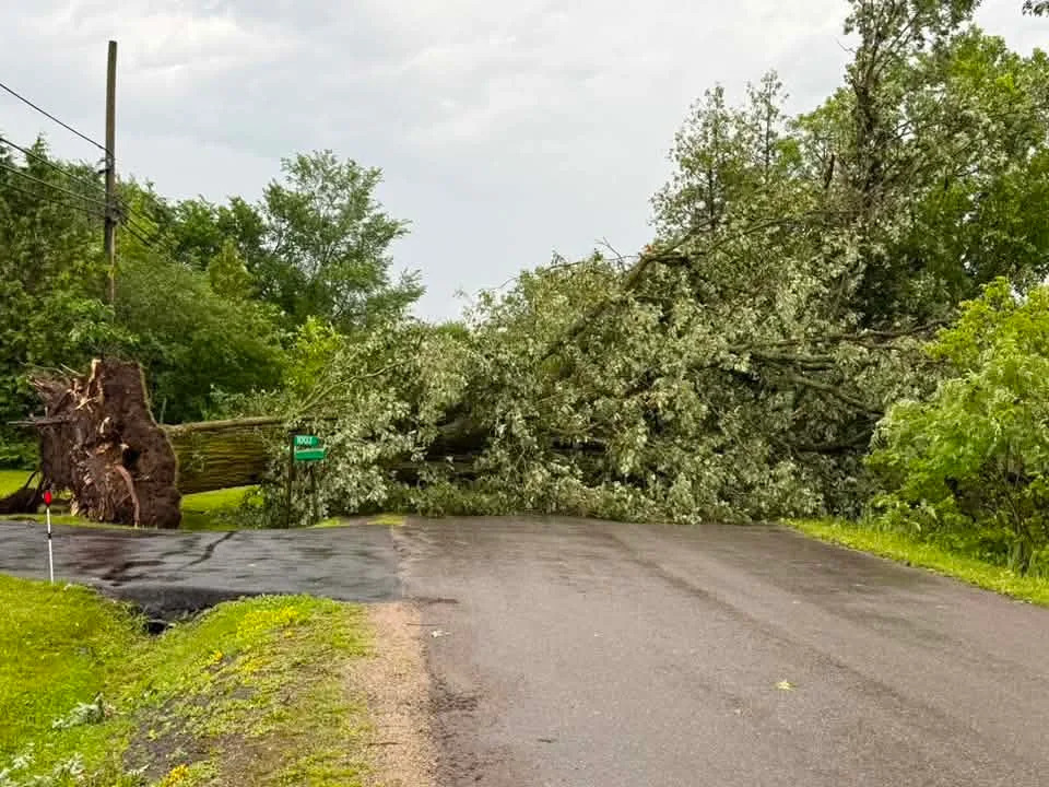 A fallen tree shuts down access to Peters road in South Frontenac, Ont. on Monday afternoon.