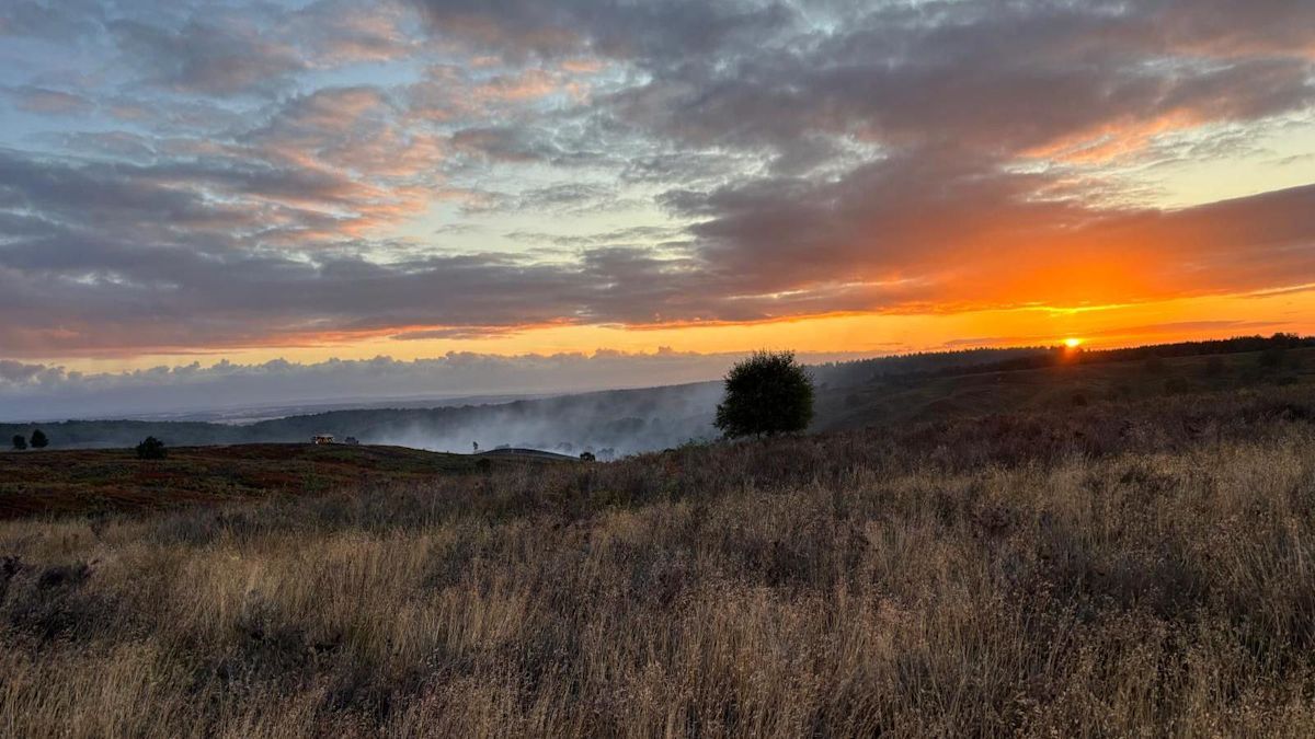 Huge fire at beauty spot contained, say fire crews