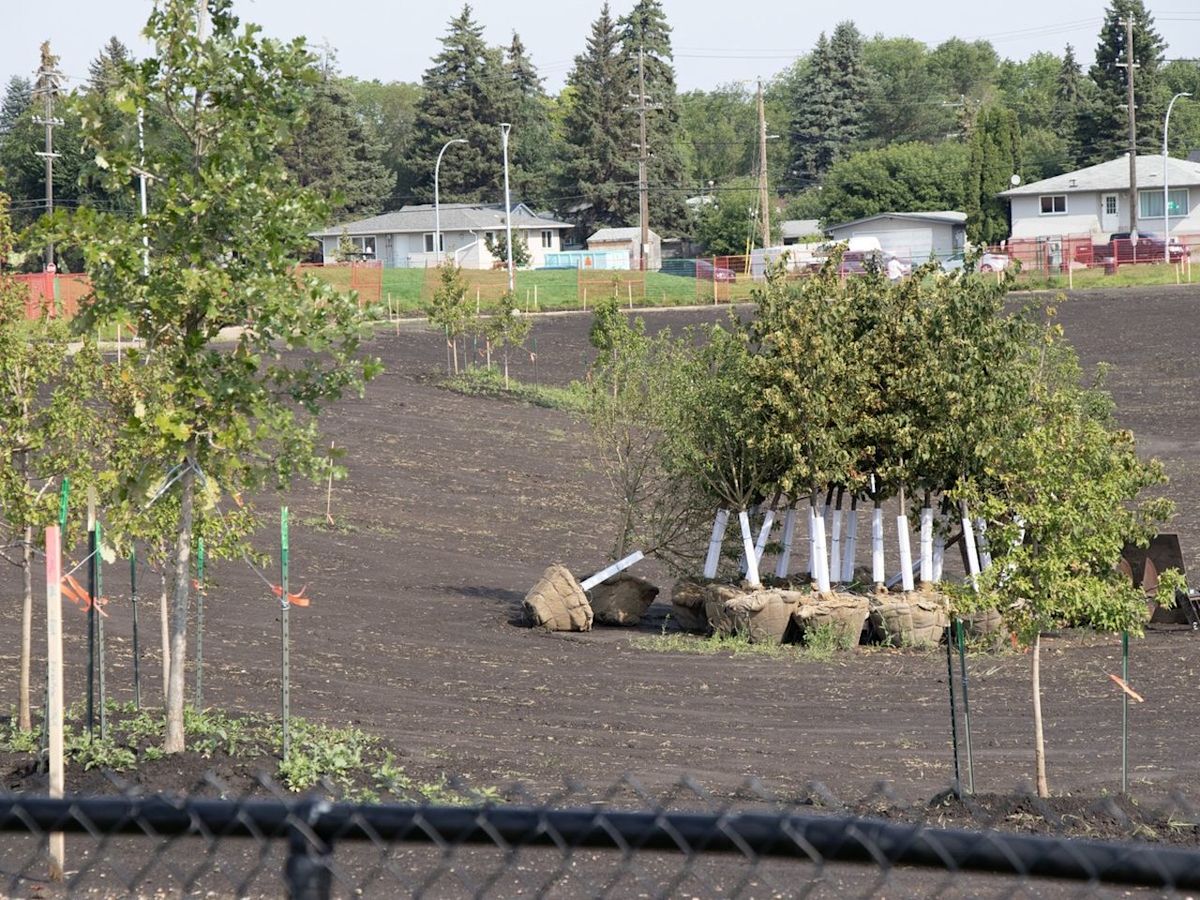 Pop-up lakes: How Edmonton area dry ponds help flood control in heavy rains